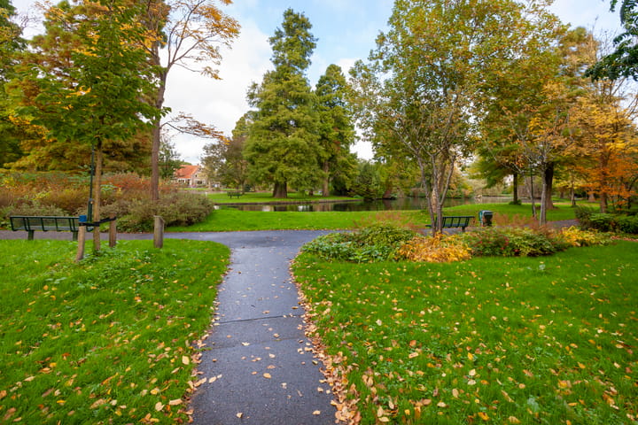 Foto 59 van van Swietenstraat 26