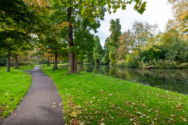 Foto 61 van van Swietenstraat 26