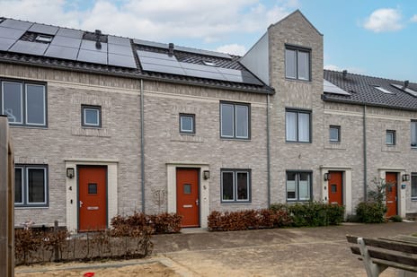 undefined main image