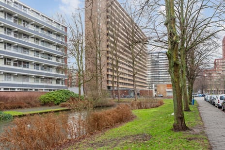 Hendrik Tollensstraat thumbnail