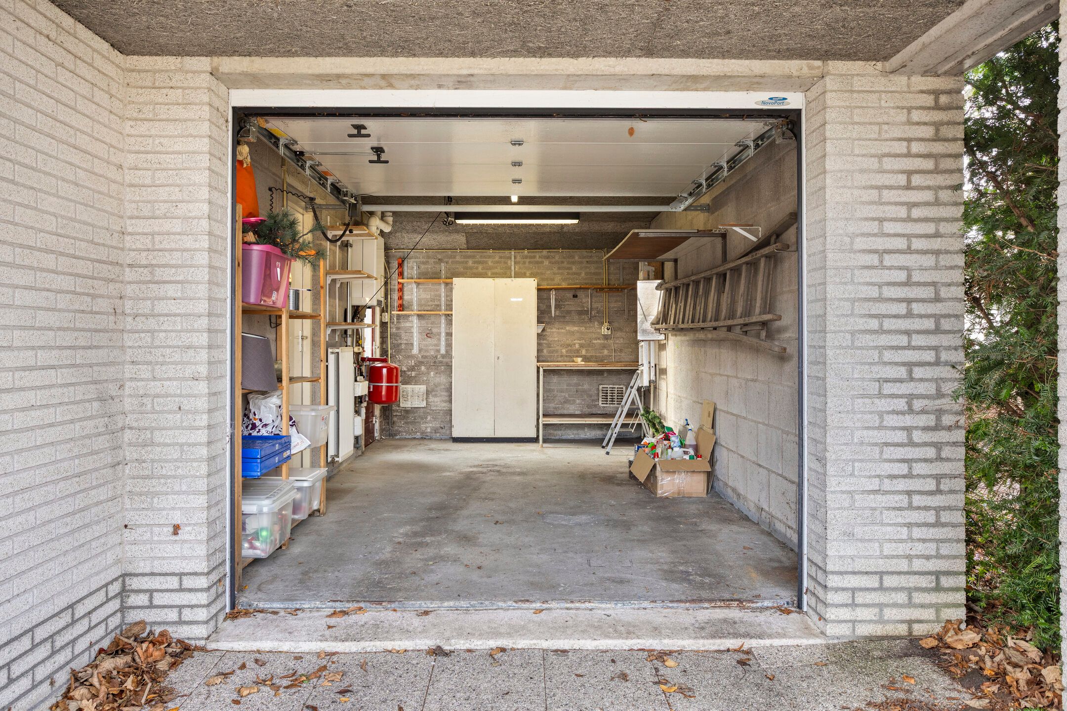 Photo 3 of Tortelduif 10