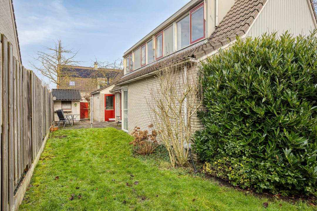 Photo 28 of Tortelduif 10