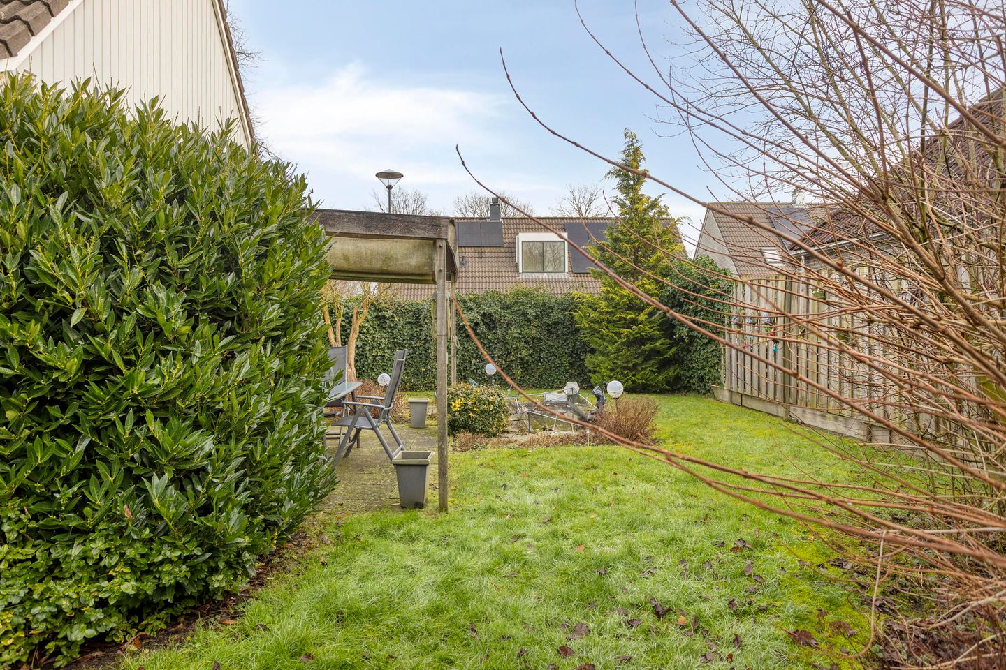 Photo 29 of Tortelduif 10