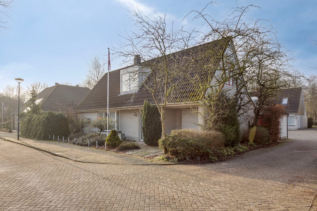 Photo 32 of Tortelduif 10