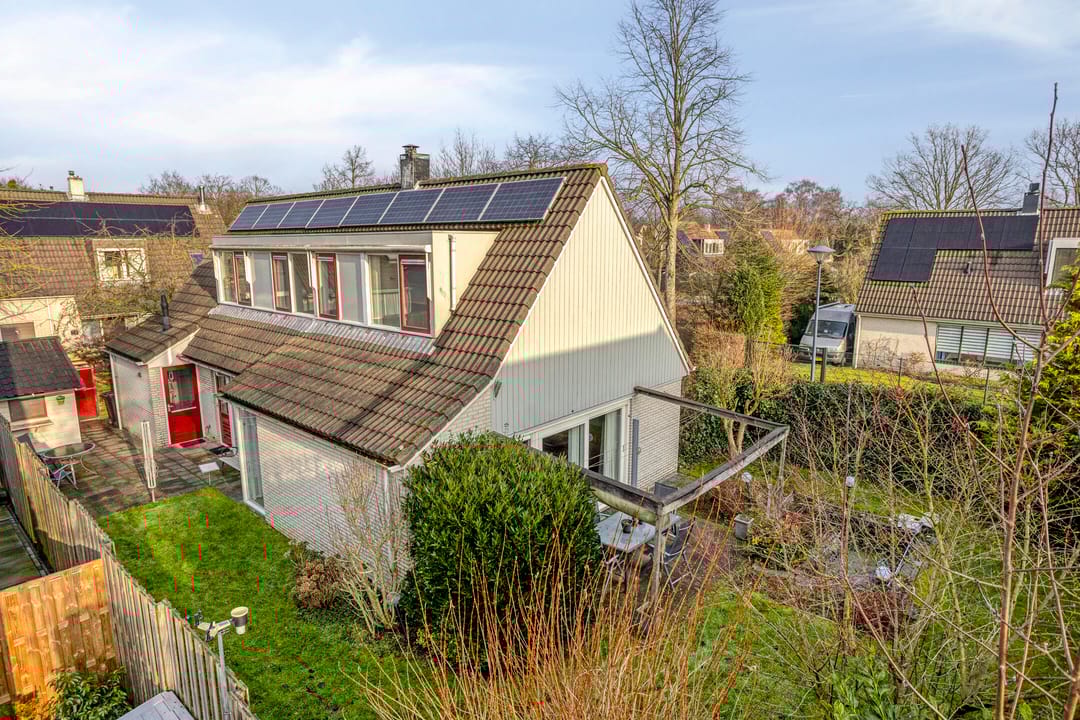 Photo 2 of Tortelduif 10