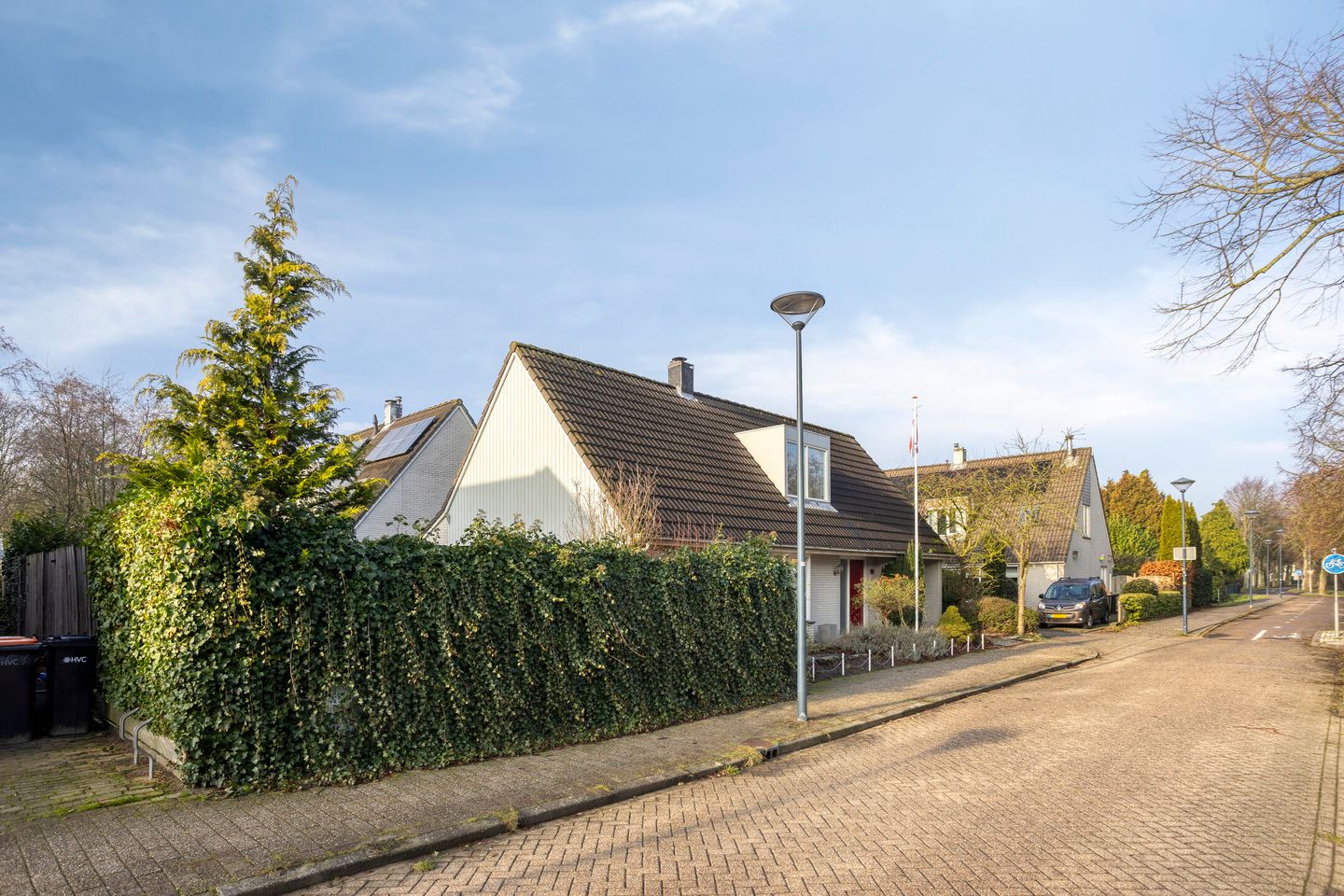 Photo 34 of Tortelduif 10