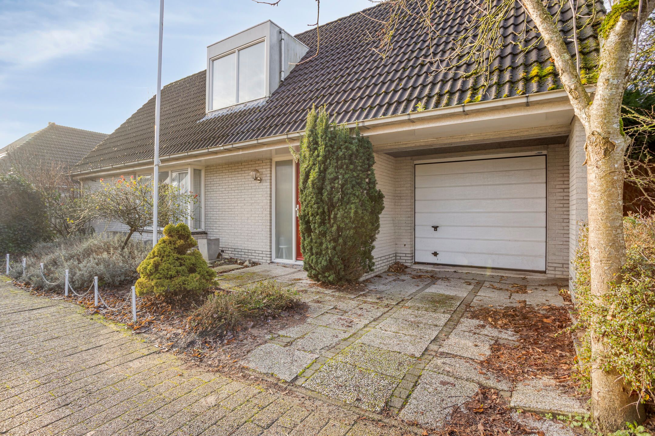 Photo 36 of Tortelduif 10