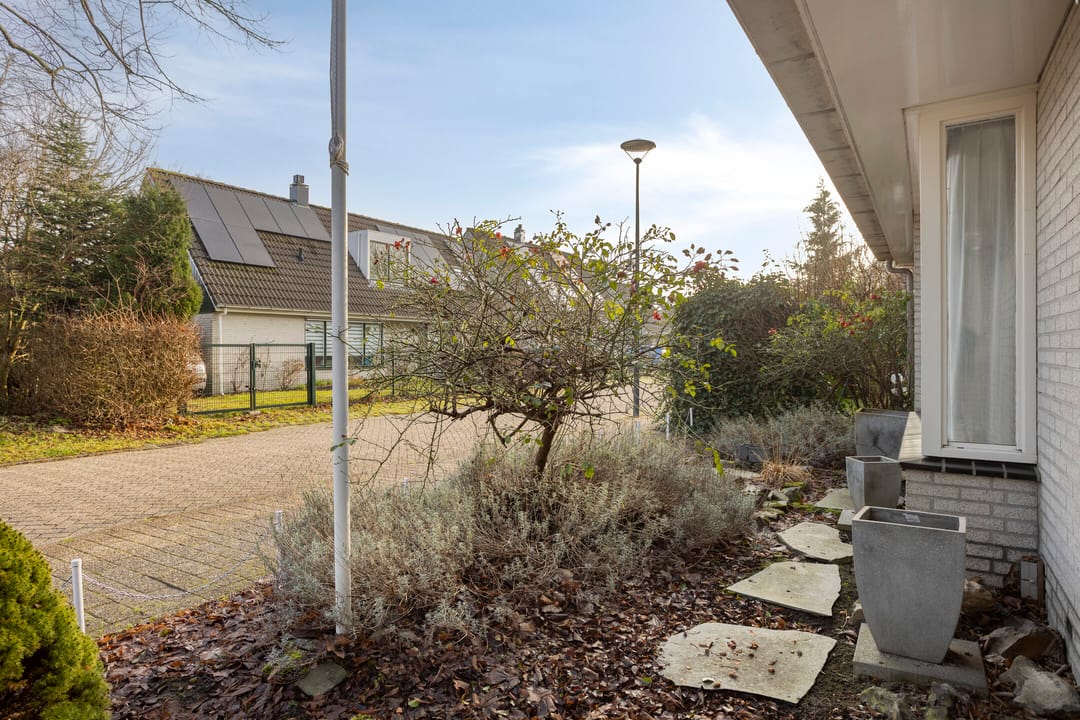 Photo 37 of Tortelduif 10