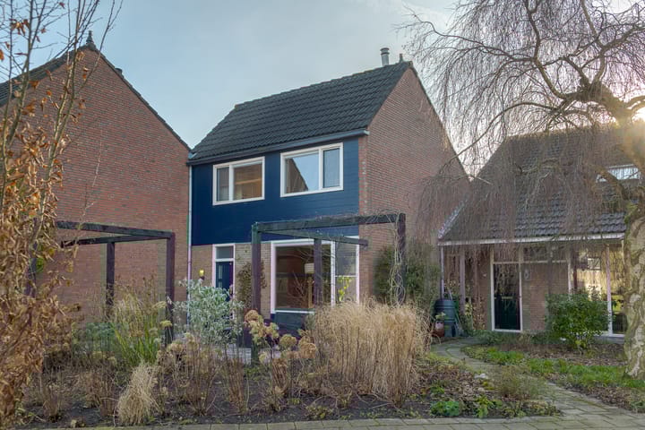 Photo 7 of den Dam 6