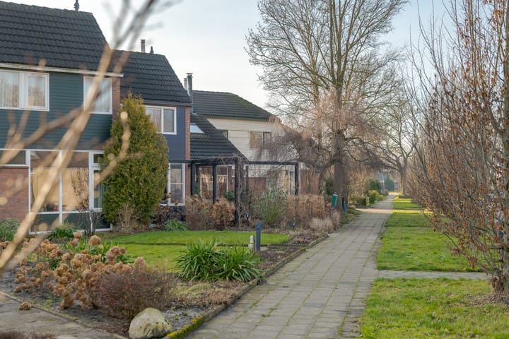 Photo 8 of den Dam 6