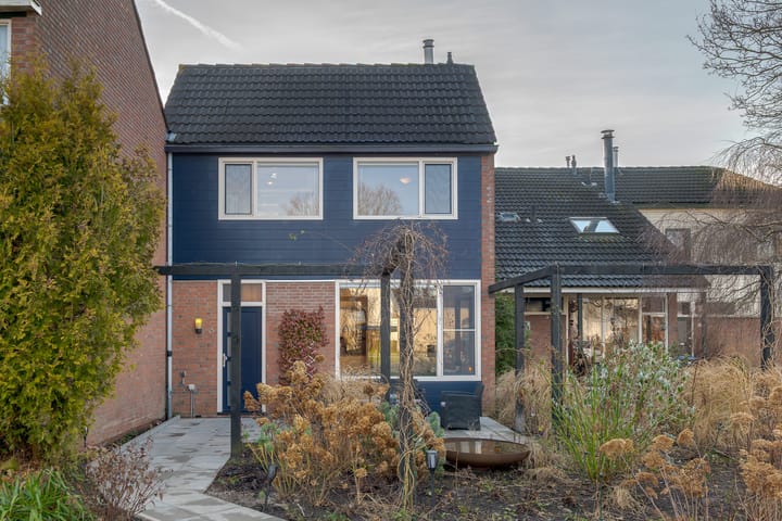 Photo 9 of den Dam 6