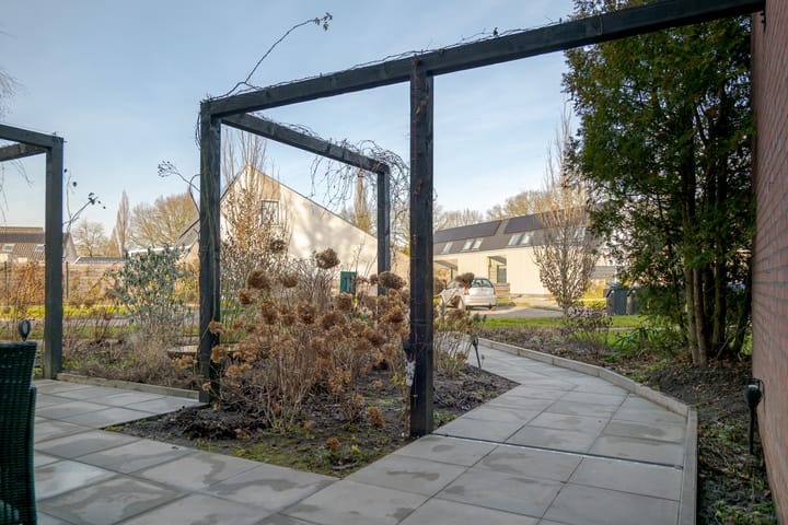 Photo 12 of den Dam 6