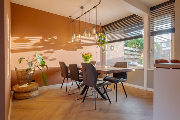 Photo 20 of den Dam 6