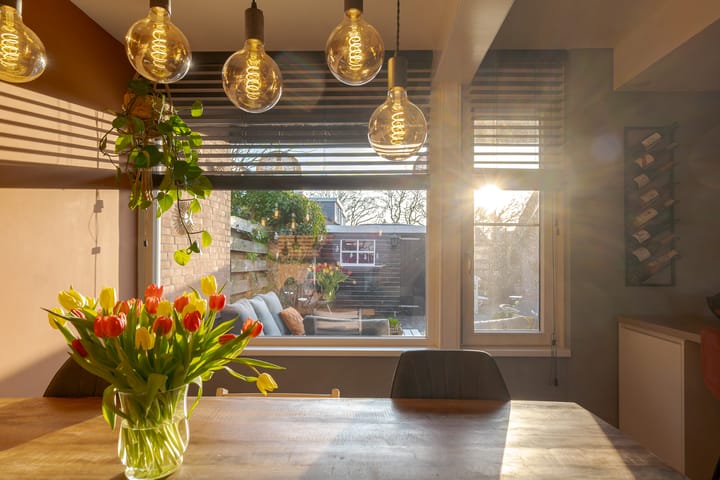 Photo 21 of den Dam 6