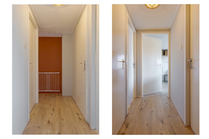 Photo 32 of den Dam 6