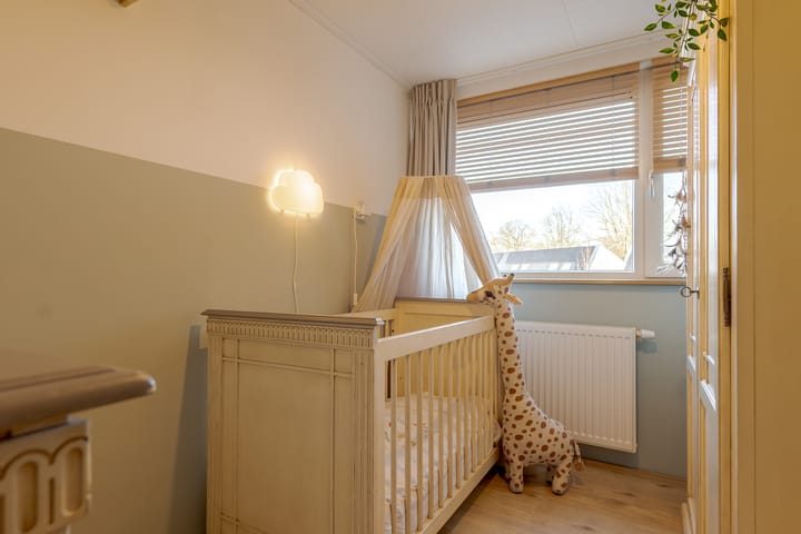 Photo 38 of den Dam 6