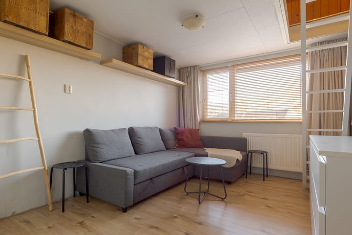 Photo 40 of den Dam 6