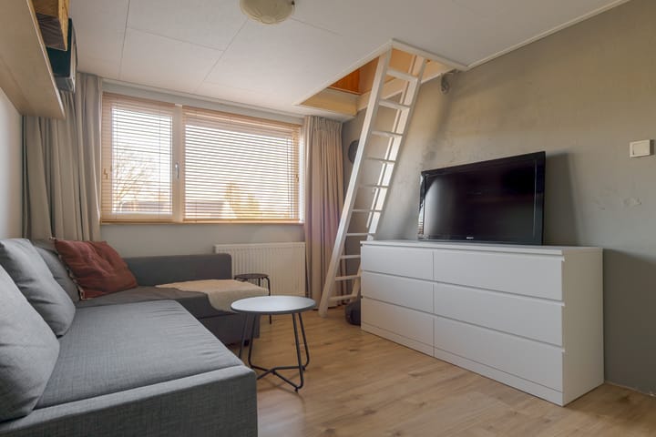 Photo 42 of den Dam 6