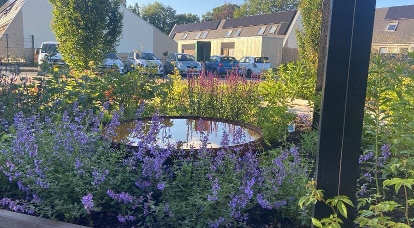 Foto 57 van den Dam 6