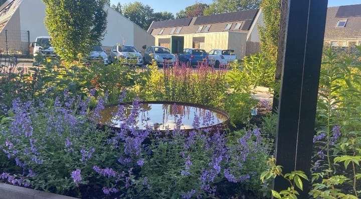 Photo 57 of den Dam 6