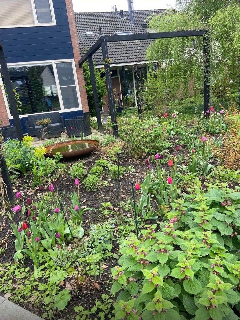 Foto 58 van den Dam 6