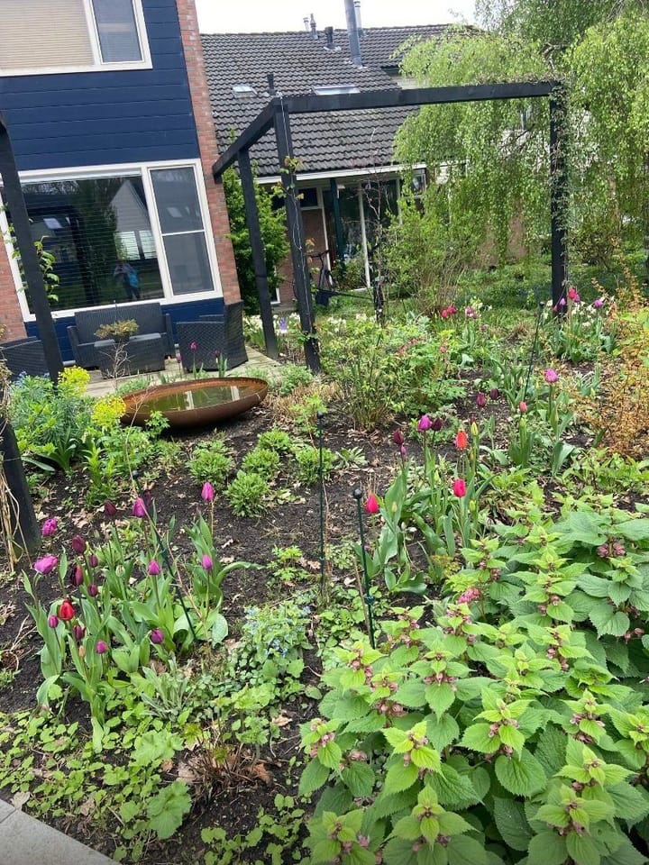 Photo 58 of den Dam 6