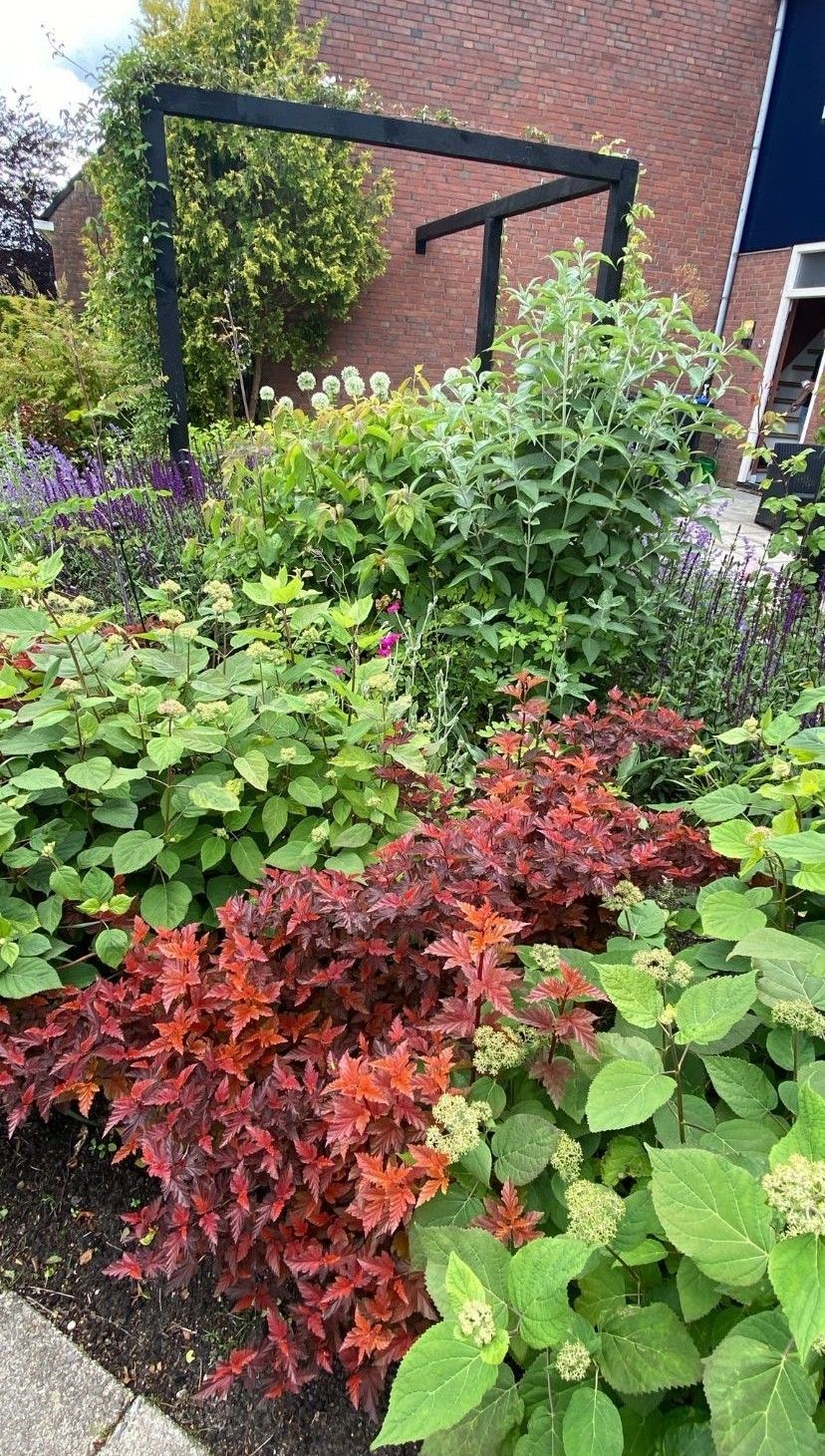 Foto 59 van den Dam 6