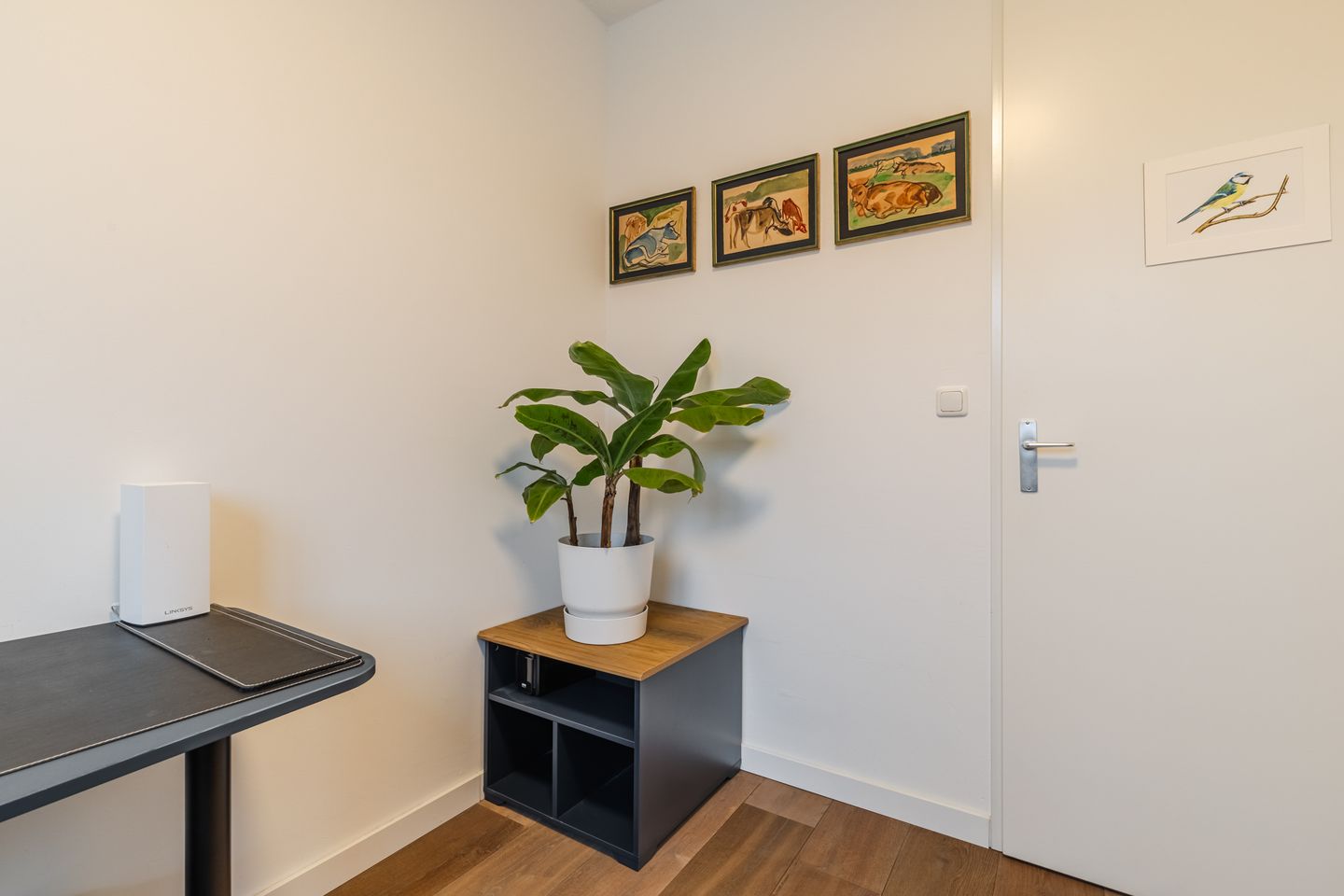 Foto 49 van Henri Matissehof 21