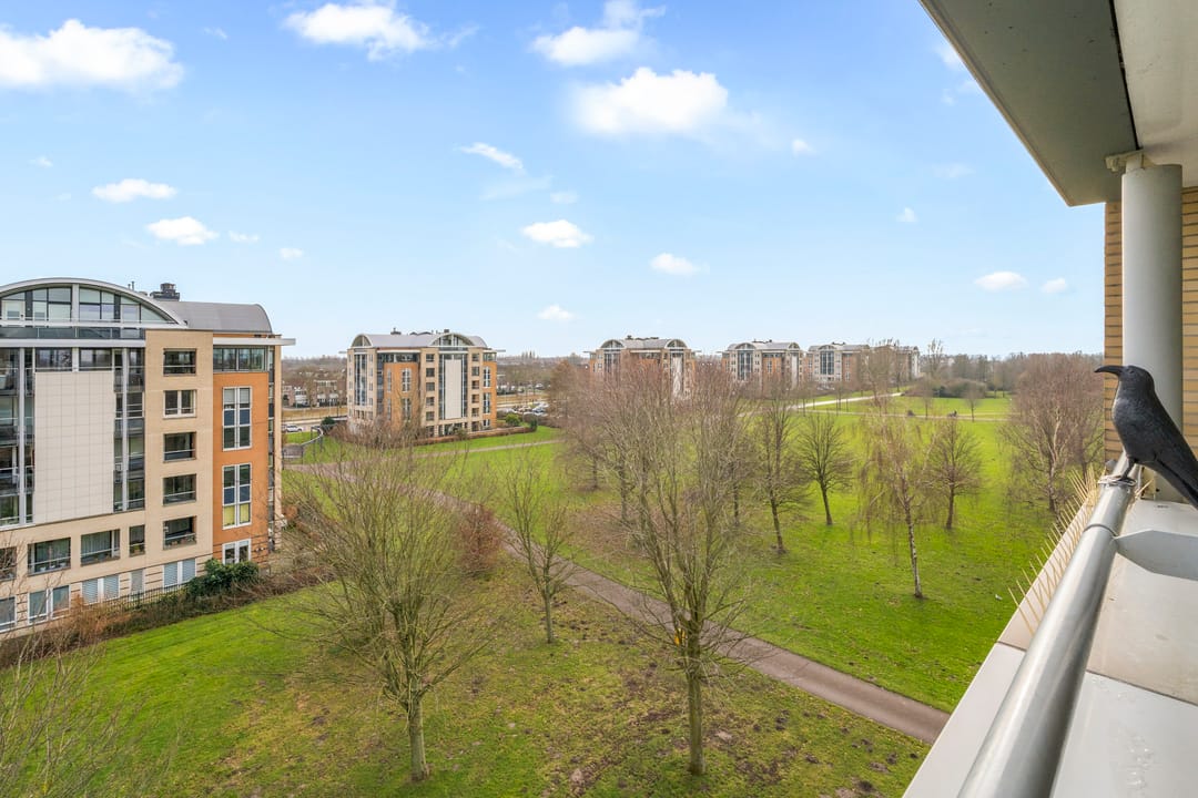 Foto 16 van Rondenburglaan 131