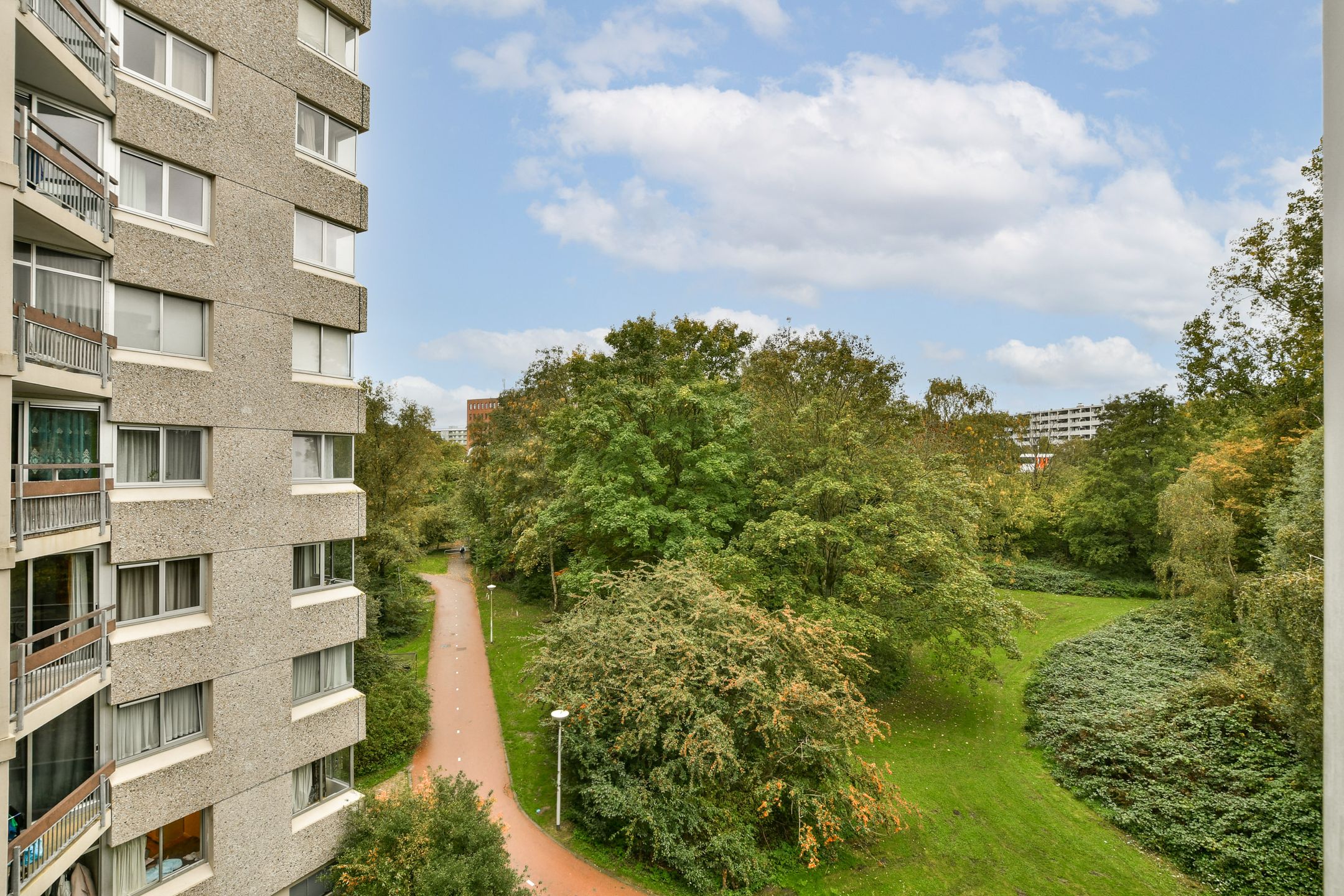 Foto 6 van Gouden Leeuw 522