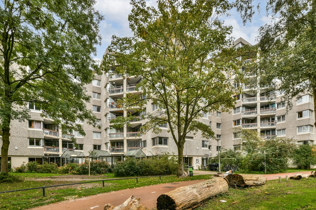 Foto 7 van Gouden Leeuw 522