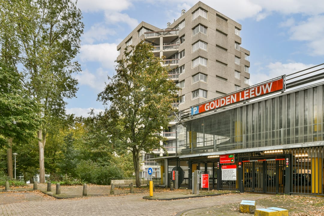 Foto 22 van Gouden Leeuw 522