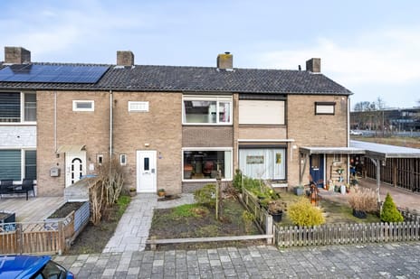 Jan Steenstraat thumbnail