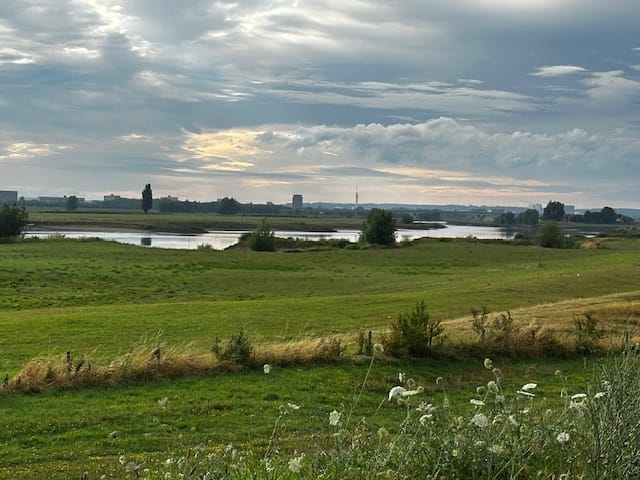 Photo 55 of Klapstraat 202