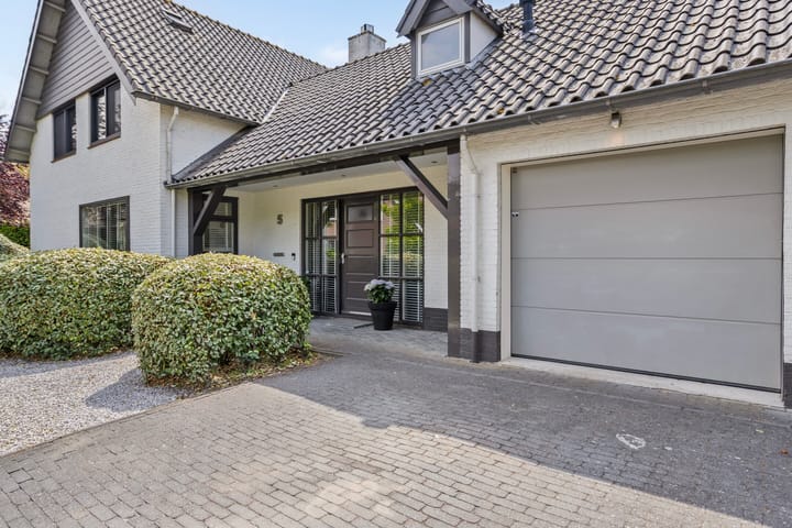 Foto 3 van Steenbok 5