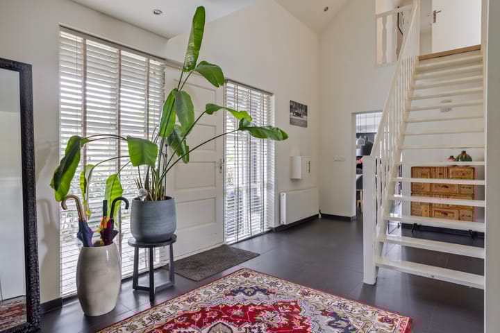 Foto 5 van Steenbok 5