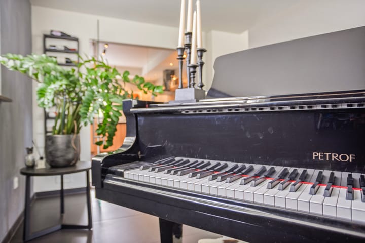 Foto 7 van Steenbok 5