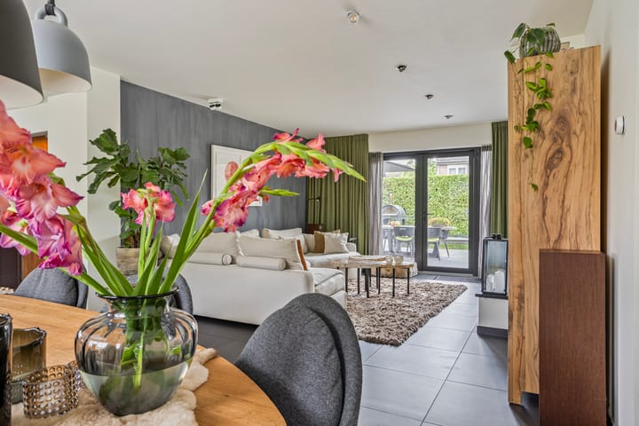 Foto 9 van Steenbok 5