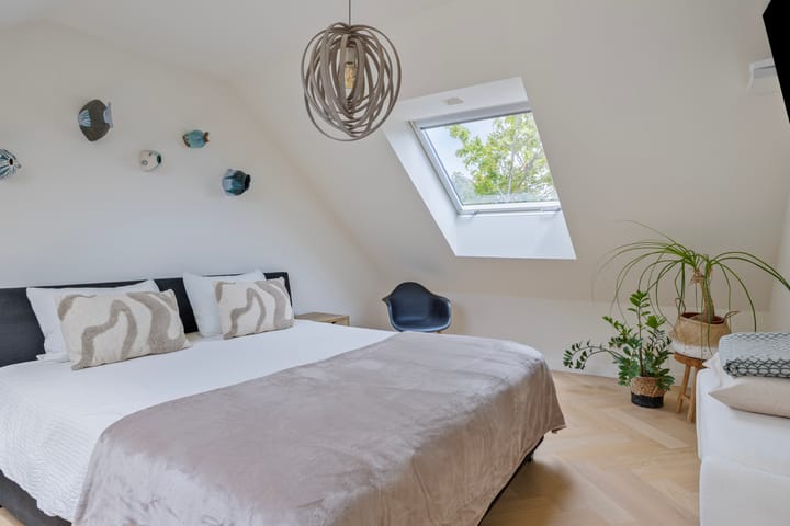 Foto 36 van Steenbok 5