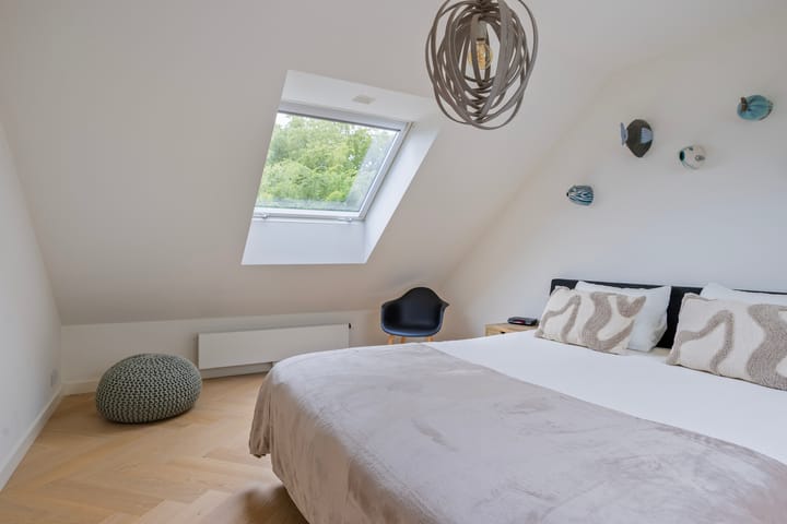 Foto 37 van Steenbok 5