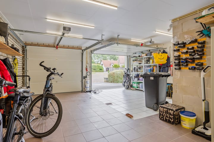 Foto 40 van Steenbok 5