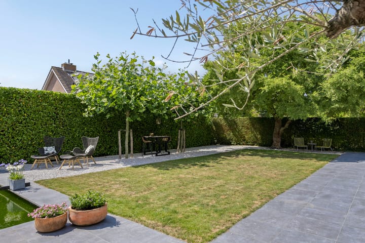 Foto 45 van Steenbok 5