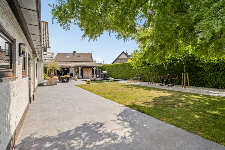 Foto 46 van Steenbok 5