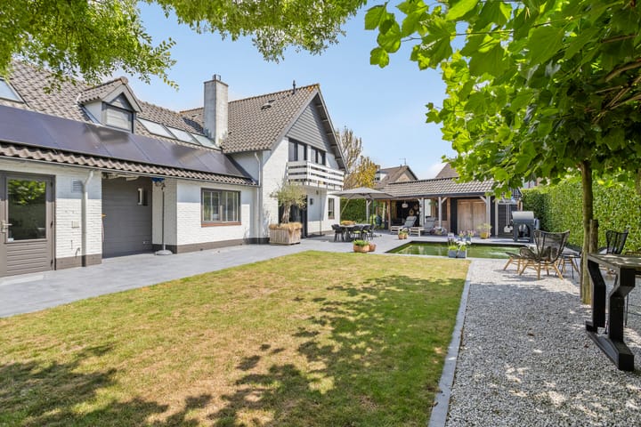 Foto 47 van Steenbok 5