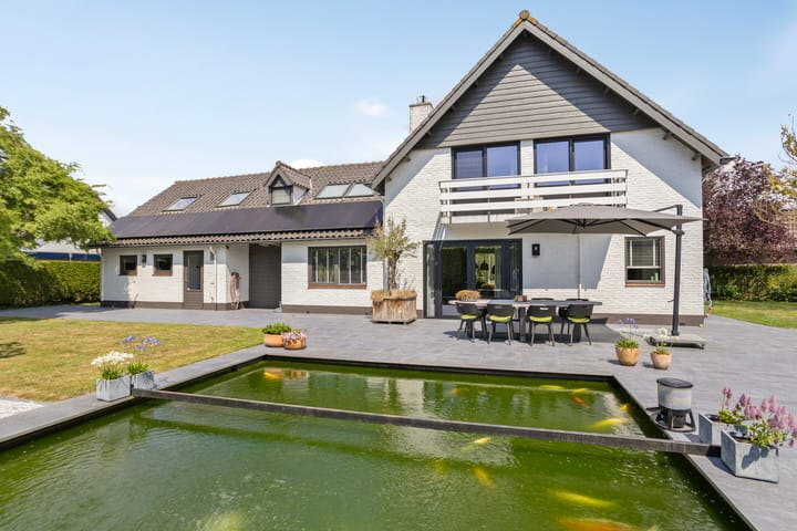 Foto 43 van Steenbok 5