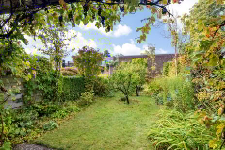 Weideflora 22 secondary image