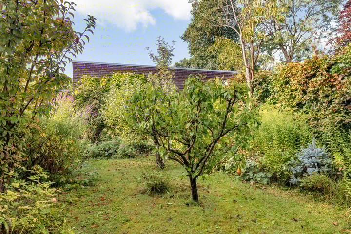 Foto 29 van Weideflora 22