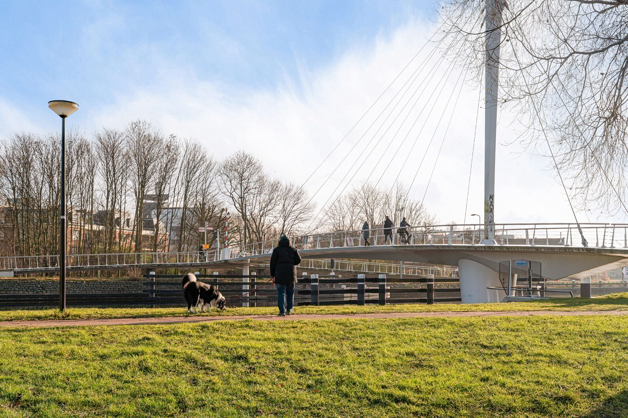 Foto 42 van Lijsterbeslaan 101