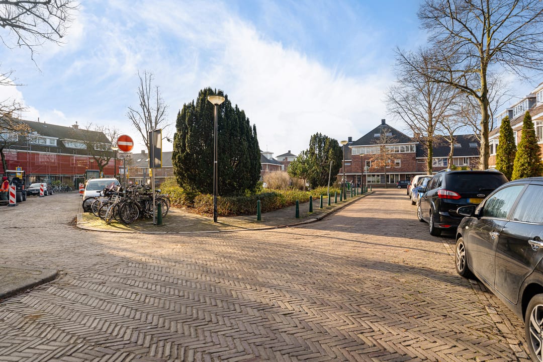 Foto 43 van Lijsterbeslaan 101