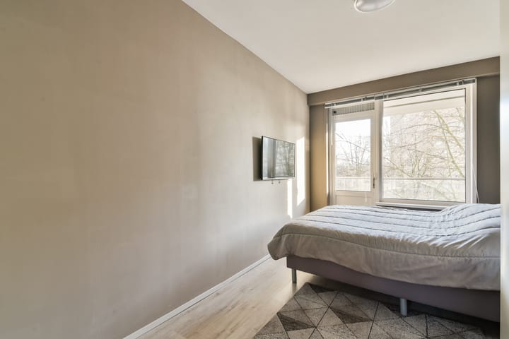 Foto 10 van Langswater 172